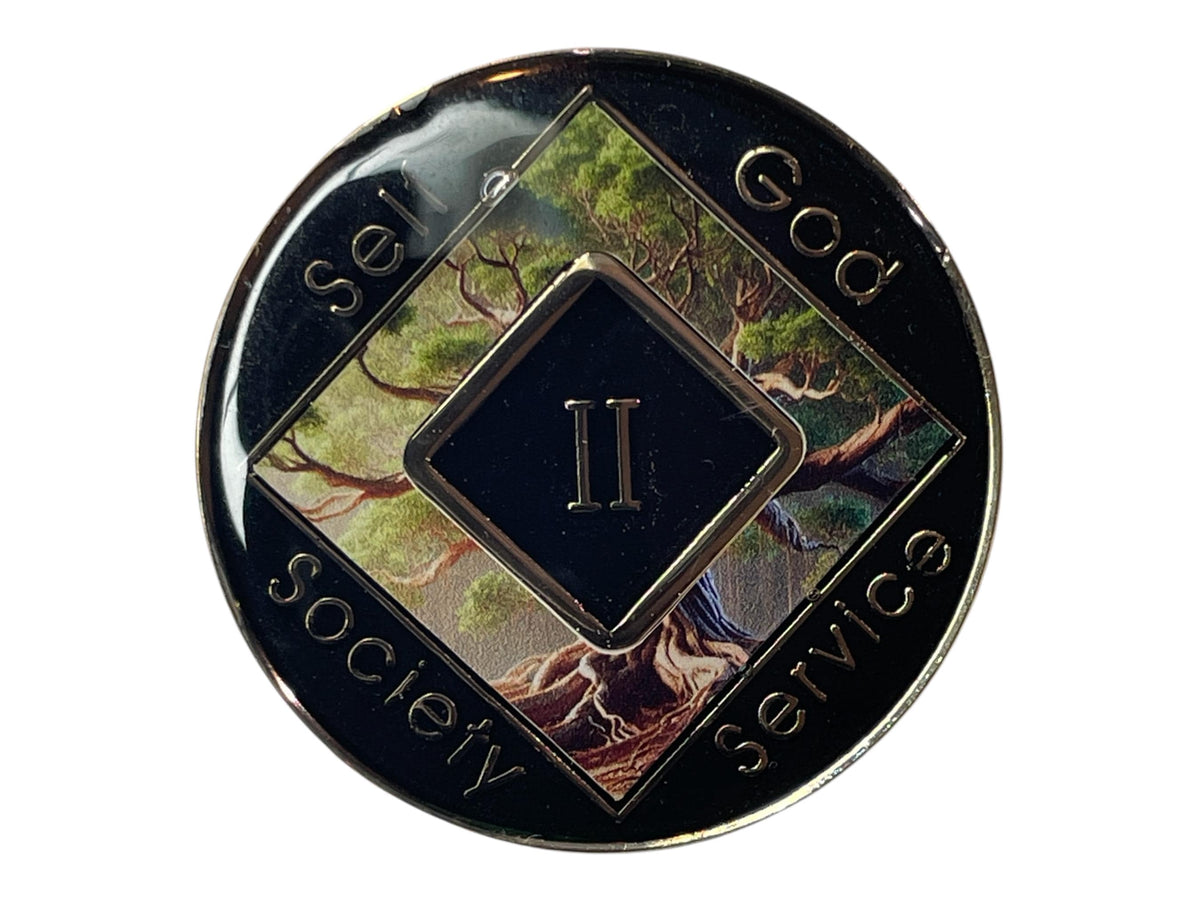 Narcotics Anonymous black 2-year recovery medallion featuring a powerful tree of life design symbolizing strength, grounding, and spiritual growth, with “Self, God, Society, Service” engraved around the edges.