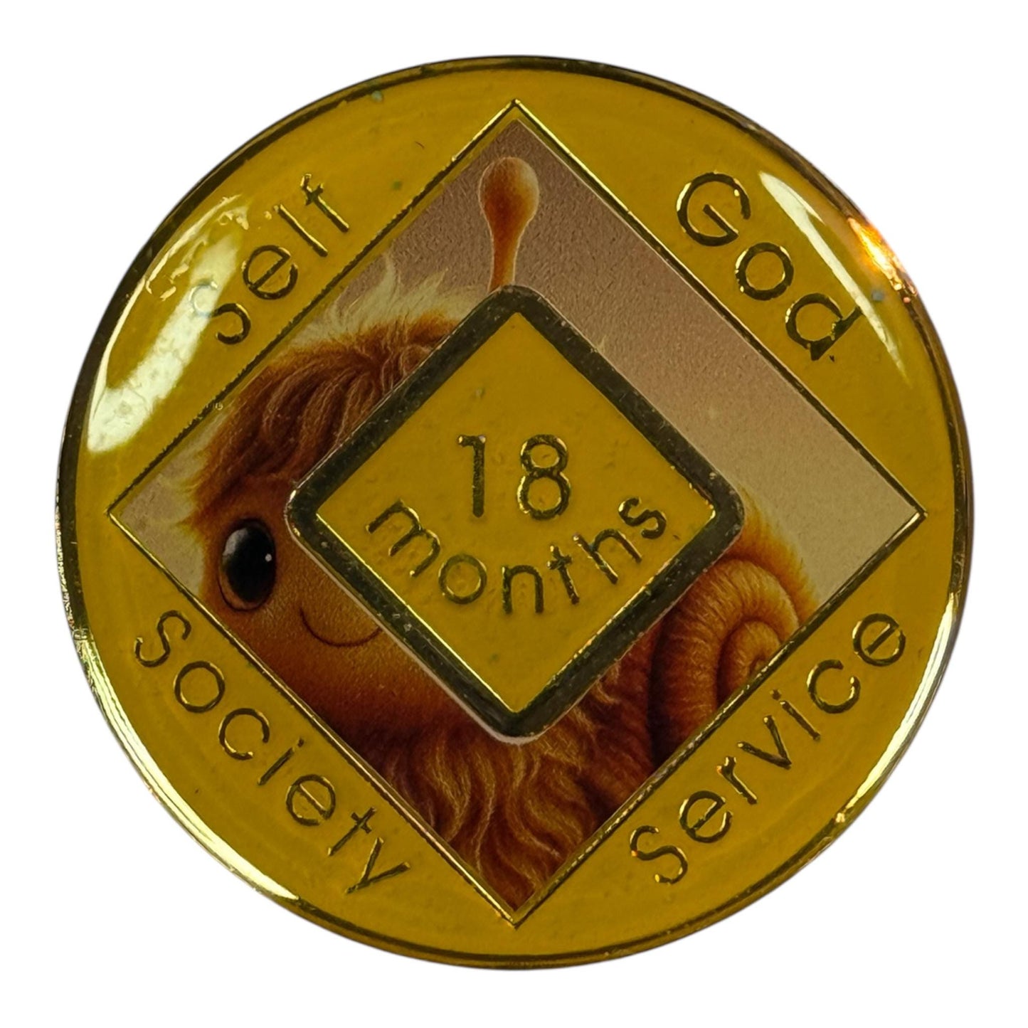 Narcotics Anonymous 18 months recovery medallion with golden border, diamond center showing ‘18 months,’ words Self, God, Society, and Service around the edges, and a fuzzy snail illustration in the background.