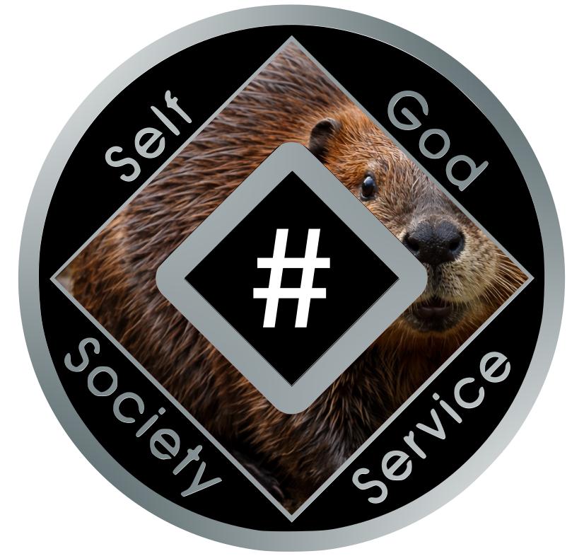 Beaver NA Medallion | 34mm Clean Time Recovery Token | Narcotics Anonymous Sobriety Chip