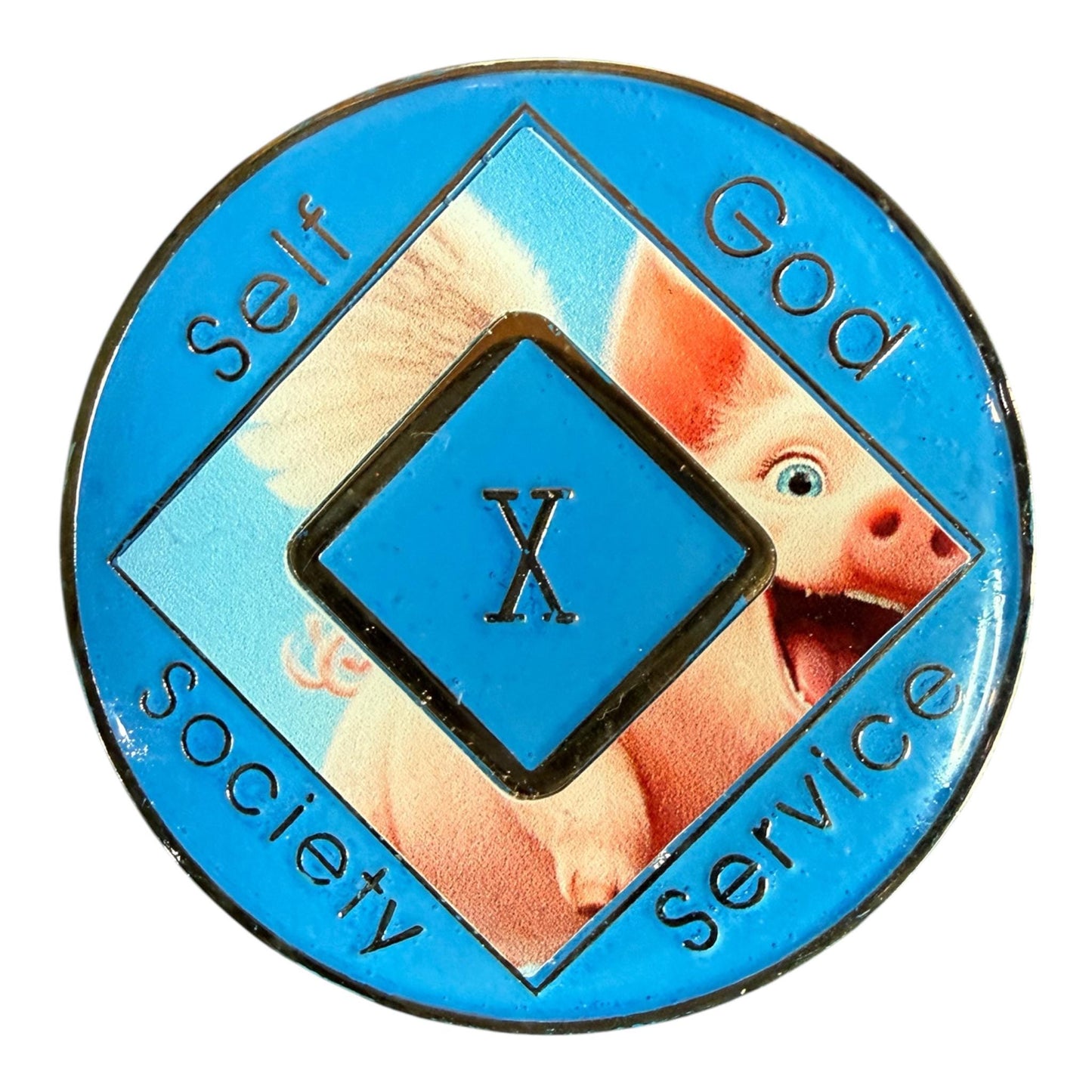 Flying Pig NA Recovery Medallion