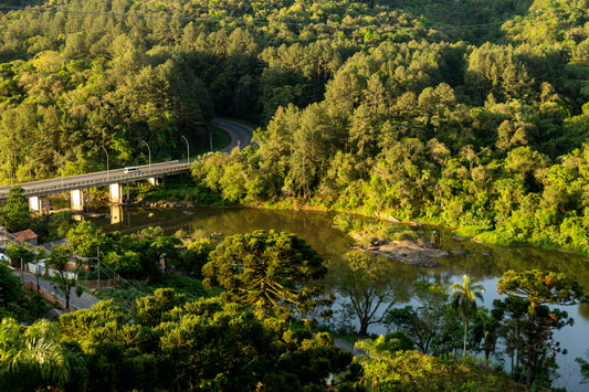Aerial view of a winding river and bridge surrounded by dense green forest in Paraná, Brazil.