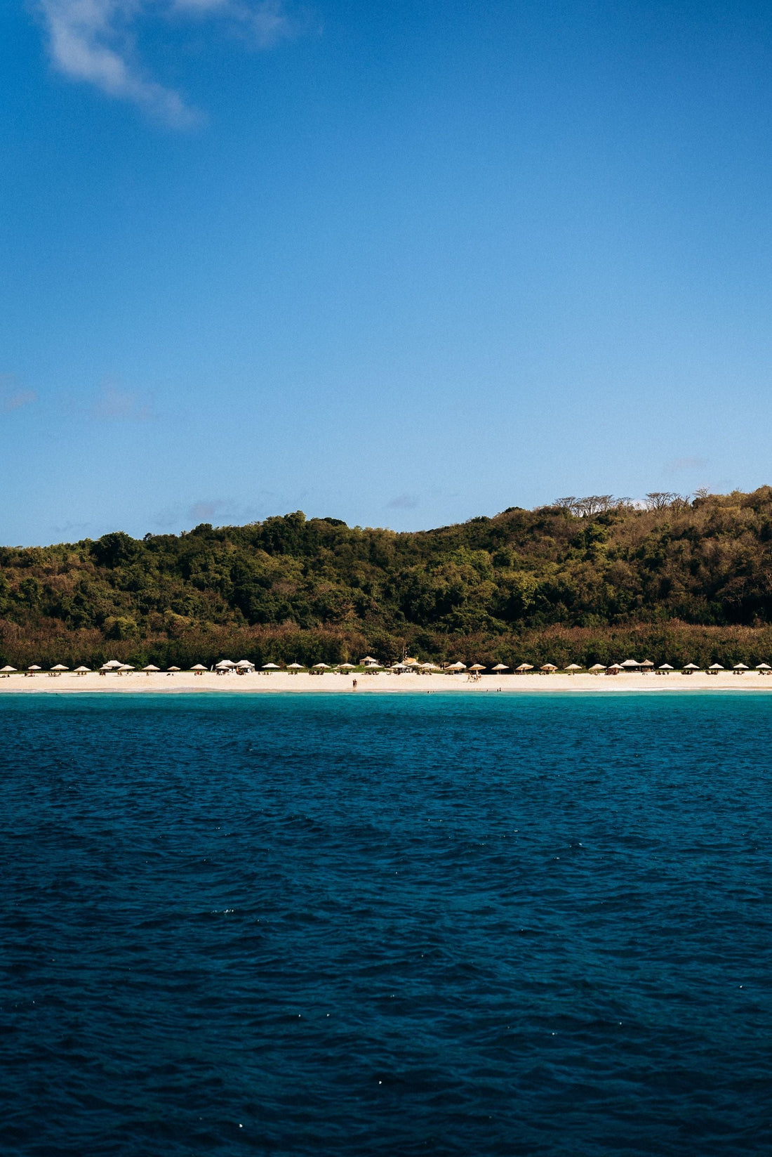 Tropical beach with clear water and lush vegetation in Pernambuco, Brazil