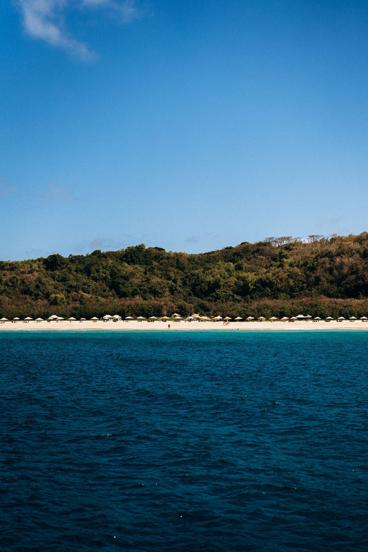 Tropical beach with clear water and lush vegetation in Pernambuco, Brazil