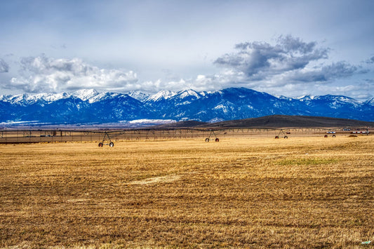 Rural farmland near La Grande, Oregon, with the snow-capped Blue Mountains rising in the distance.