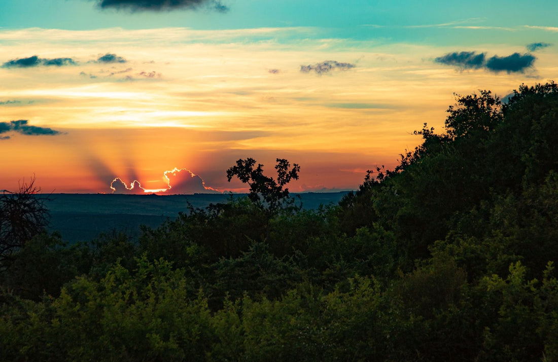 Sunset over the green countryside of Magaliesburg, Gauteng, South Africa near the Magaliesberg.