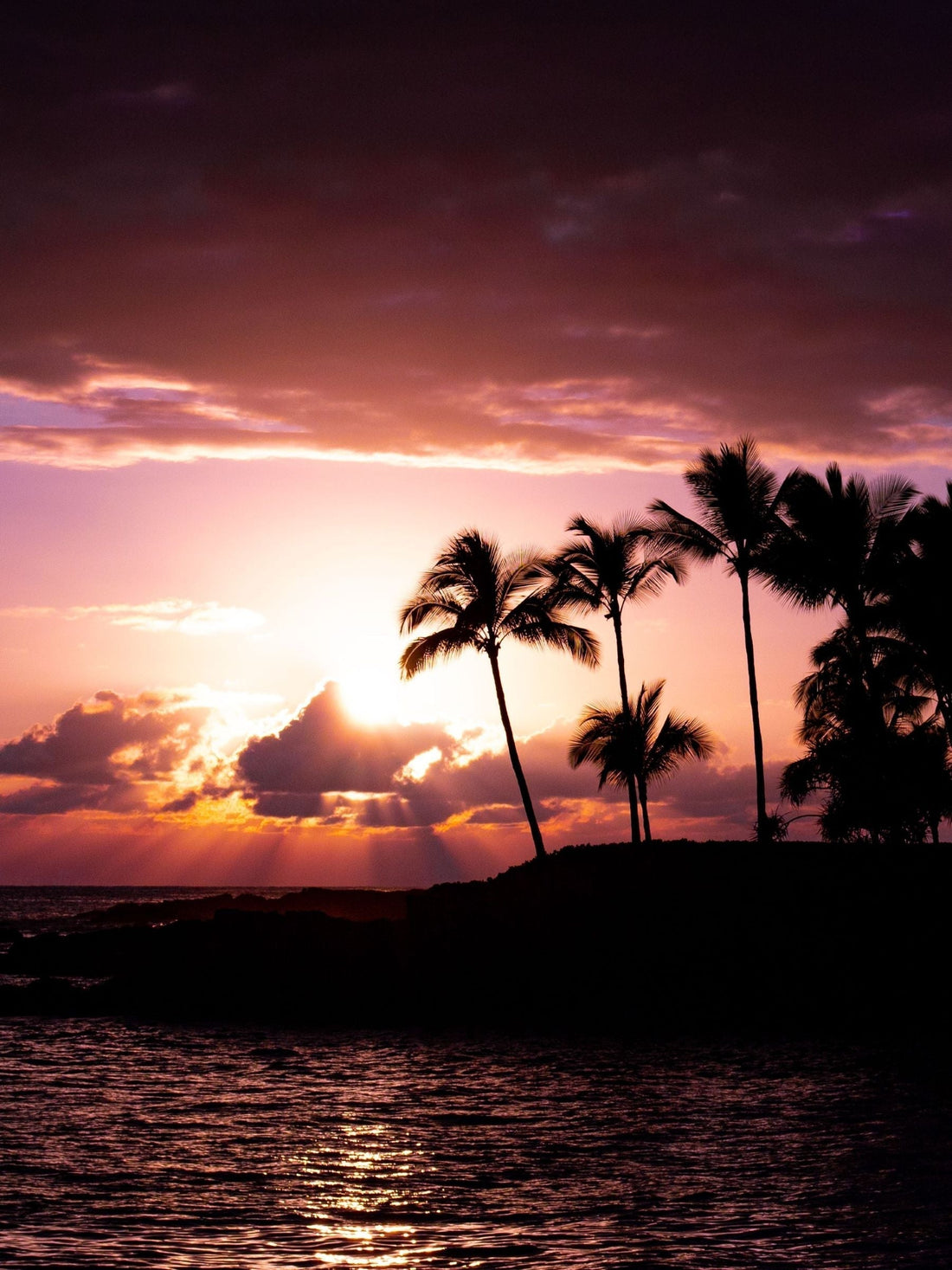 Alt text: Sunset over the ocean and palm trees in Kailua-Kona, Hawaii