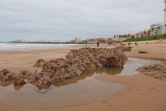 Sandy beach, Atlantic waves and historic coastal walls in Cádiz, Spain