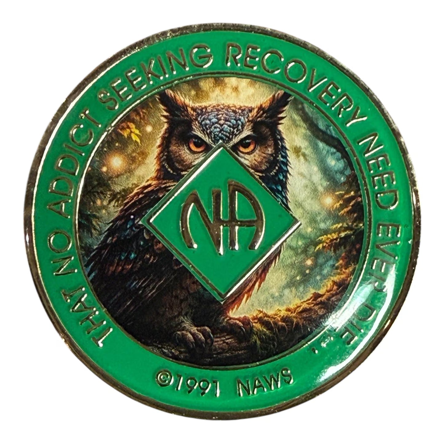 Owl NA Medallion | Recovery Chip with Wisdom & Clarity