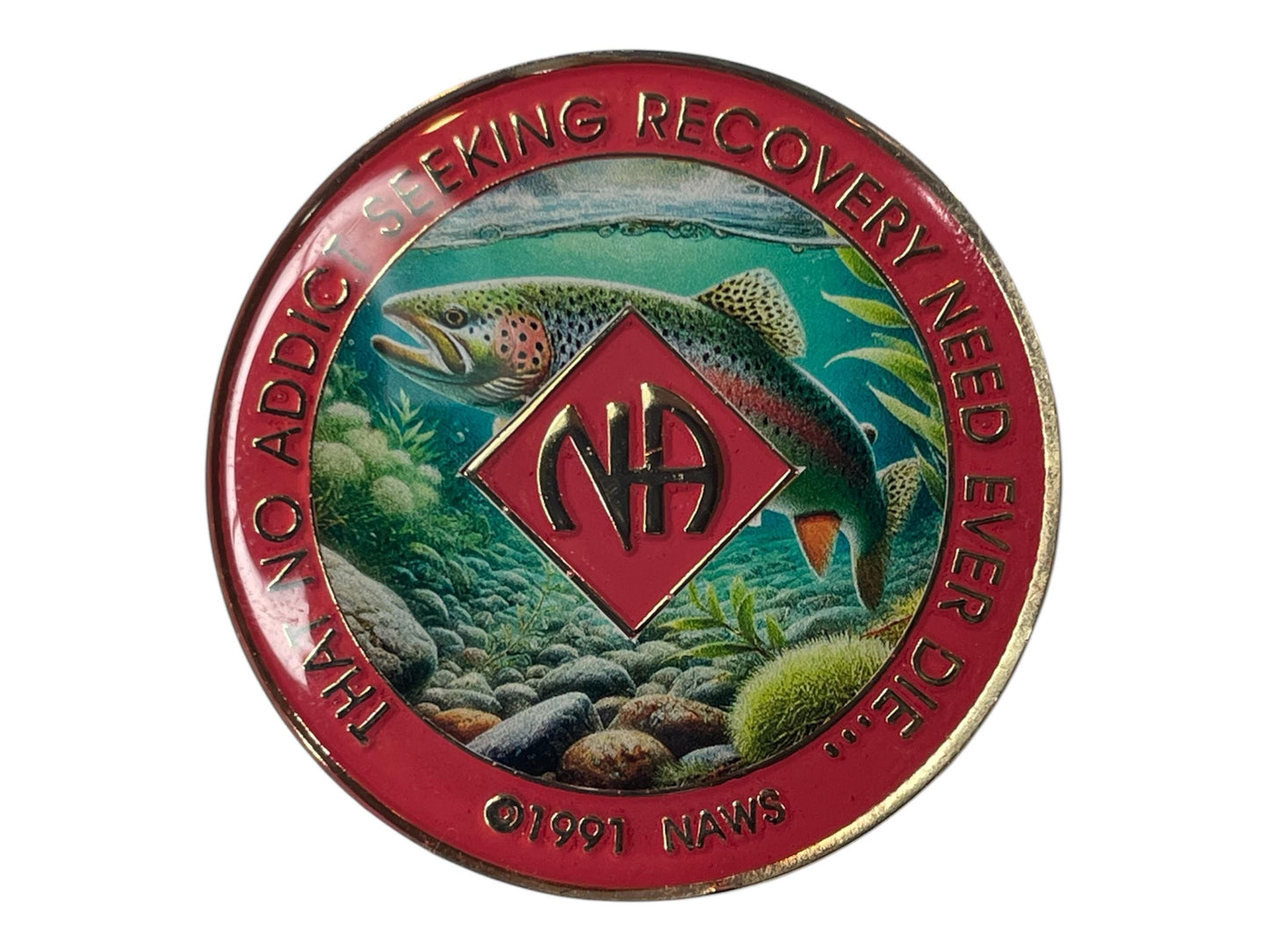 Narcotics Anonymous recovery medallion featuring a detailed rainbow trout swimming underwater with rocks and plants. The red enamel border reads “That No Addict Seeking Recovery Need Ever Die,” symbolizing freedom, serenity, and renewal in sobriety — a perfect collectible NA chip for celebrating recovery milestones.