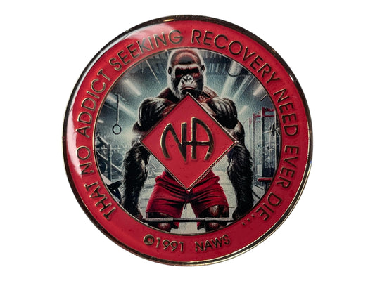 Custom 12-Step NA Medallion | Personalized Clean Time Token | Sobriety Coin