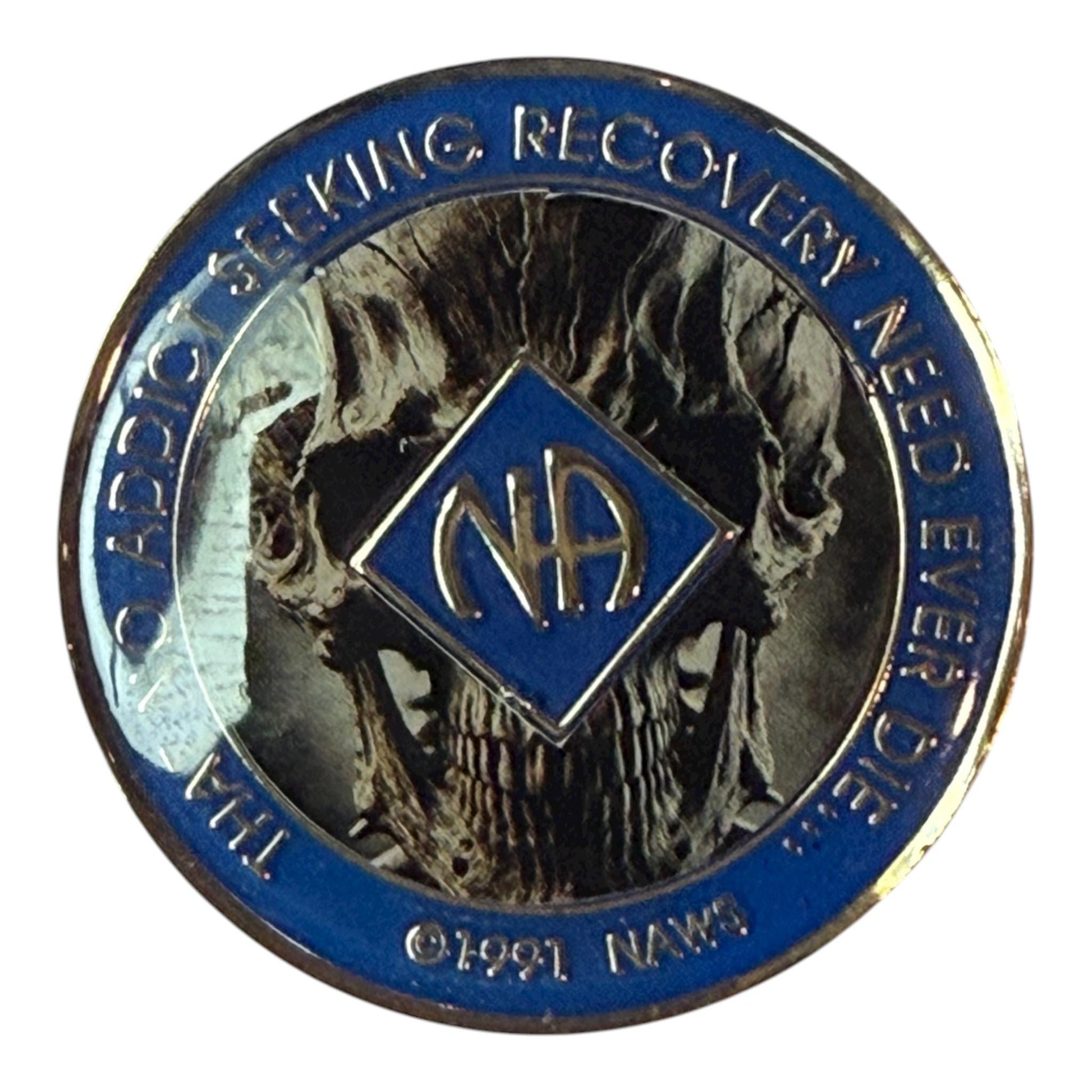 Narcotics Anonymous recovery medallion featuring a detailed skull design with dark metallic tones and a blue border. The NA logo is centered with the phrase “That No Addict Seeking Recovery Need Ever Die,” symbolizing rebirth, transformation, and strength through recovery.