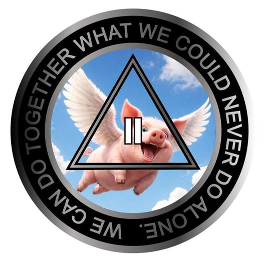 Flying Pig AA Sobriety Medallion – Alcoholics Anonymous Chip – Clean Time Token – Custom Recovery Milestone