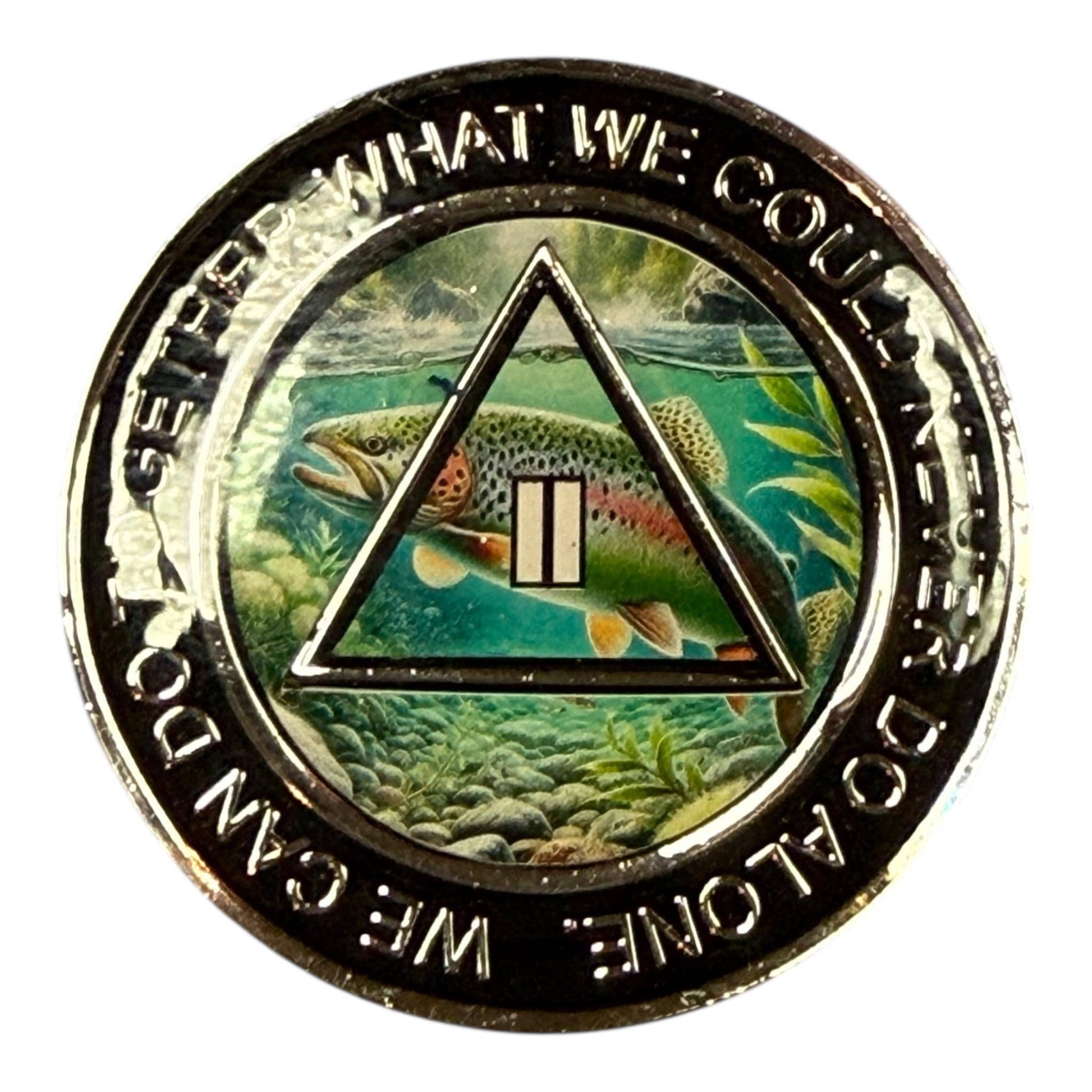 Narcotics Anonymous 2 year medallion with nature landscape design, NA sobriety anniversary coin II years, recovery chip with triangle symbol, handmade NA token gift