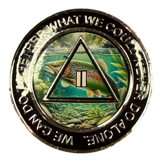 Narcotics Anonymous 2 year medallion with nature landscape design, NA sobriety anniversary coin II years, recovery chip with triangle symbol, handmade NA token gift