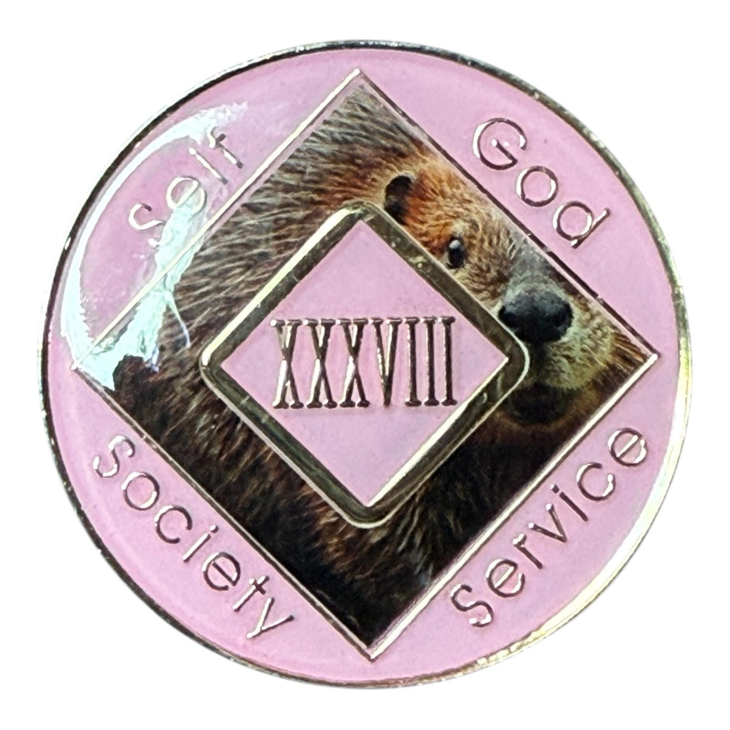 NA Medallion – Beaver Graphic | 34mm Sobriety Token | Narcotics Anonymous Recovery Chip | Resin Finish