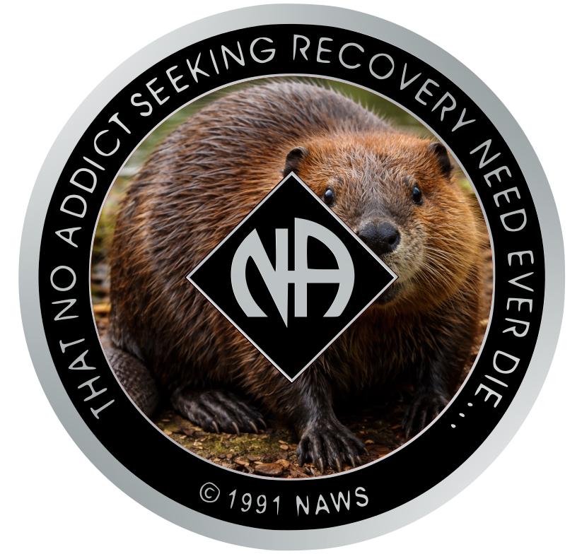NA Medallion – Beaver Graphic | 34mm Clean Time Recovery Token | Narcotics Anonymous Sobriety Chip