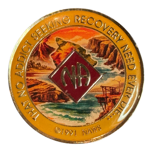 Hawaiian Style NA Medallion – Recovery Chip