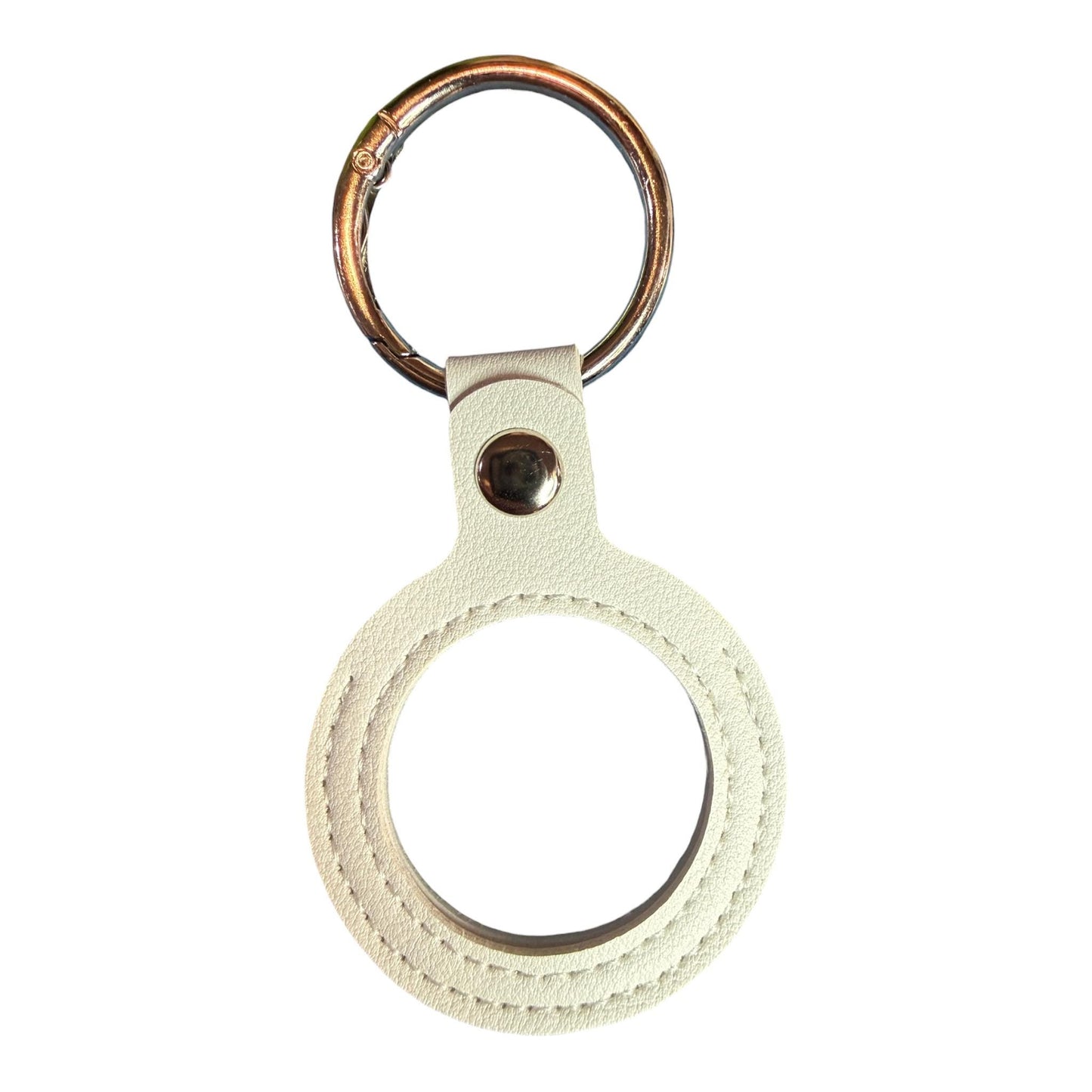 NA/AA Medallion Holder Keychain: Recovery Gift