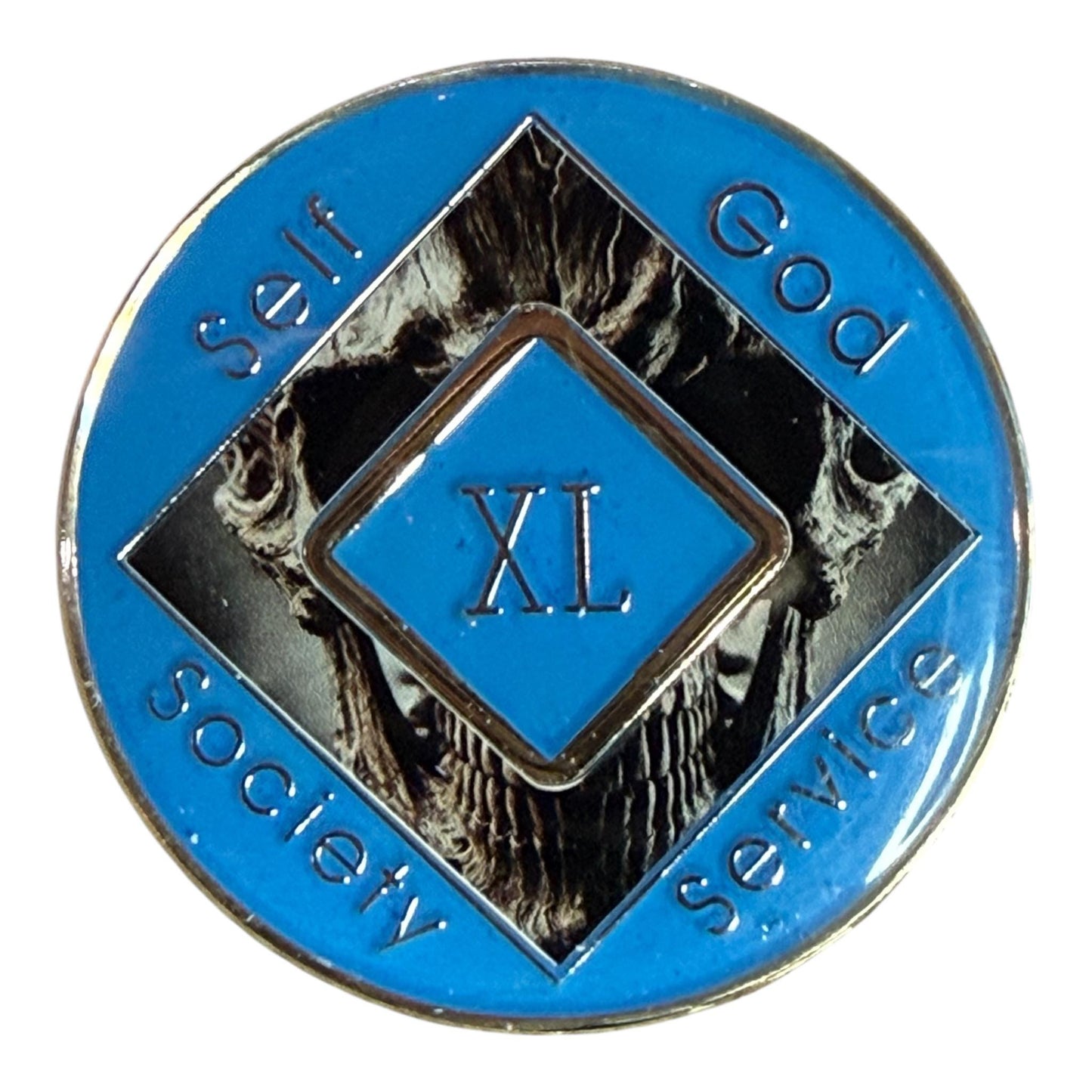 Skull NA Medallion –  Custom Clean Time Chip – Sobriety Coin for Narcotics Anonymous