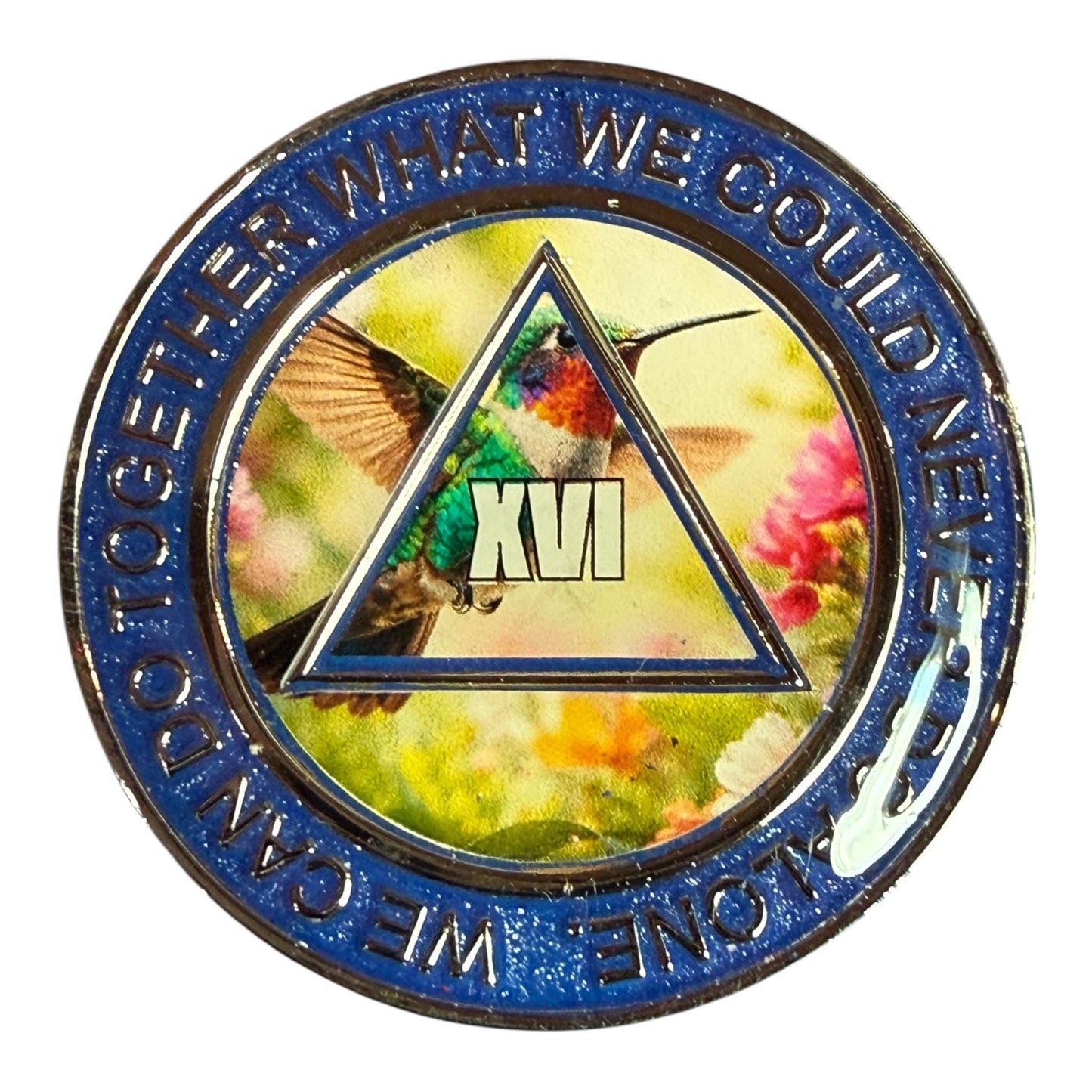 Hummingbird AA Recovery Medallion – Freedom & Renewal Sobriety Chip with Serenity Prayer