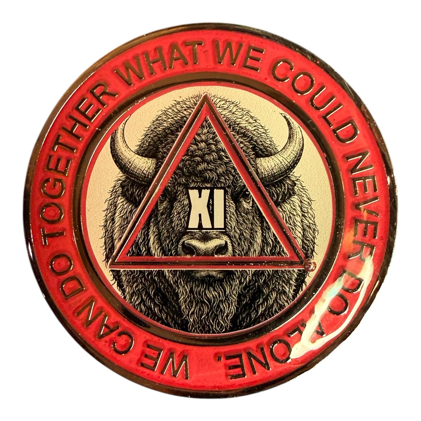 Handmade AA Medallion – Buffalo Theme – 38mm Anniversary Recovery Chip
