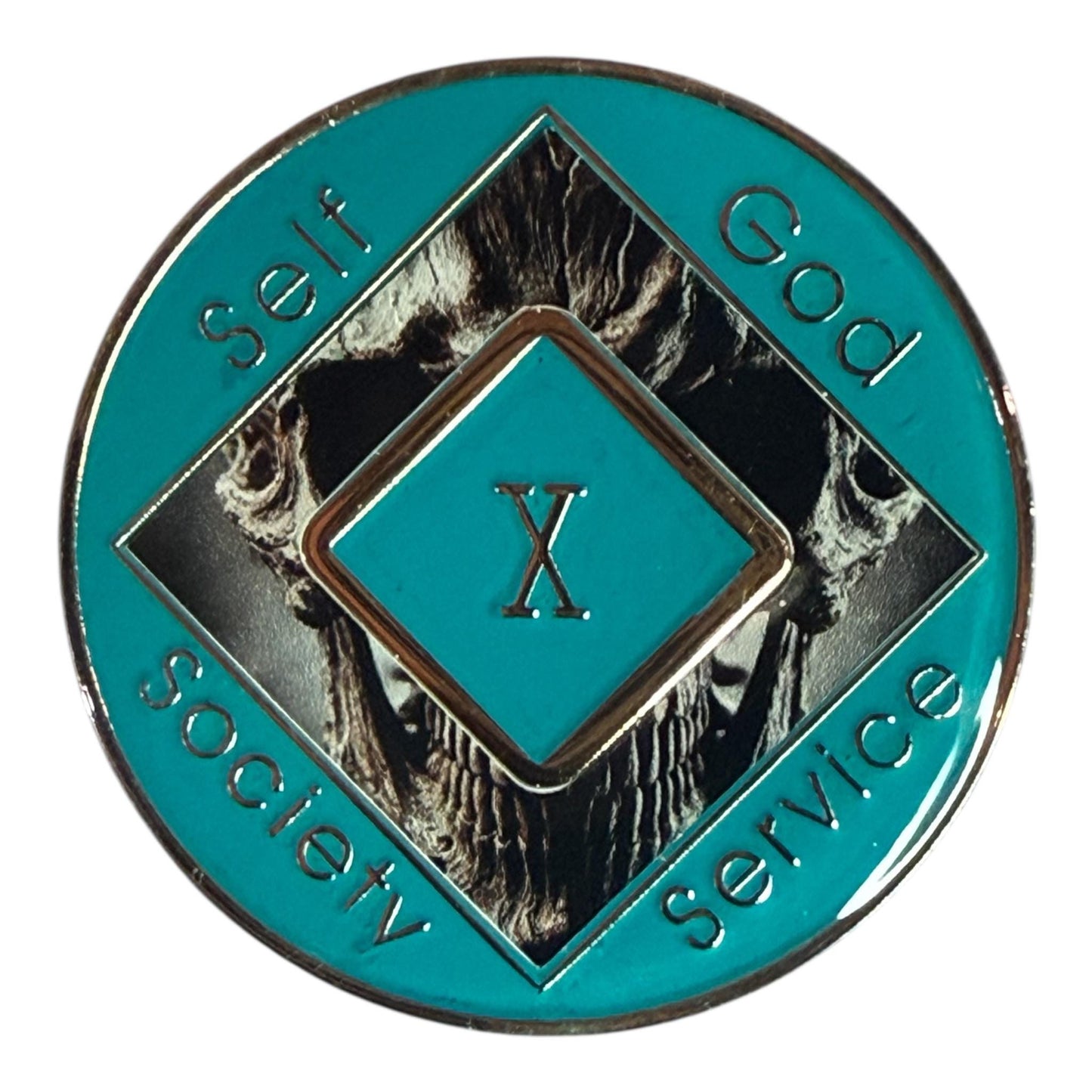 Skull NA Medallion –  Custom Clean Time Chip – Sobriety Coin for Narcotics Anonymous