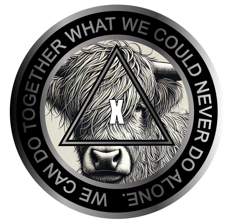 Highland Cow AA Recovery Medallion – Serenity Prayer Chip, Custom Color Sobriety Coin
