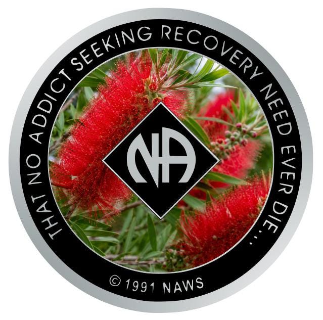 Bottlebrush Flower NA Recovery Medallion – Narcotics Anonymous Sobriety Chip (34mm)
