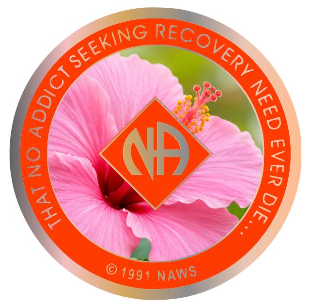 Pink Hibiscus NA Recovery Medallion – Custom Narcotics Anonymous Clean Time Coin – Tropical Flower Sobriety Token