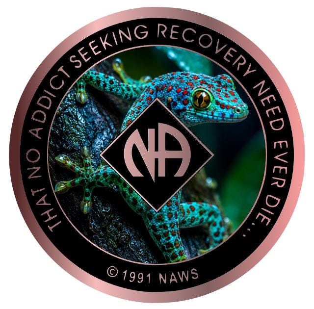 Gecko Recovery Medallion – Custom Narcotics Anonymous Clean Time Coin – Colorful Tropical Lizard NA Token